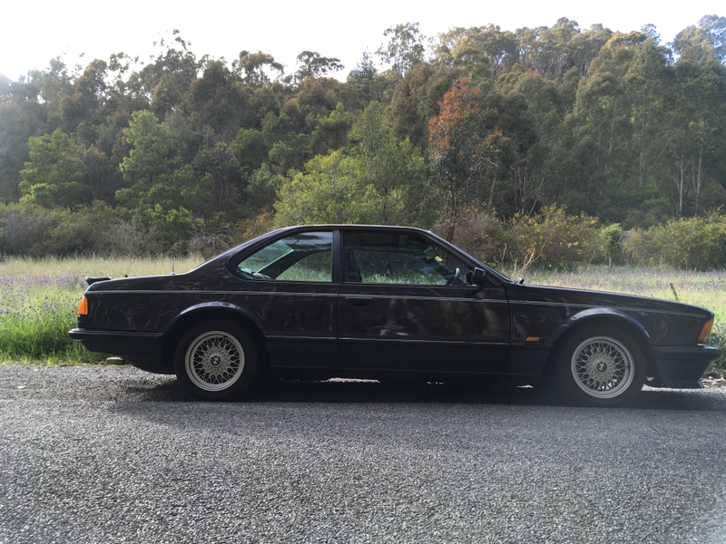 Illustration for article titled BMW 635CSi. Adelaide Hills. Springtime. Goodtime.
